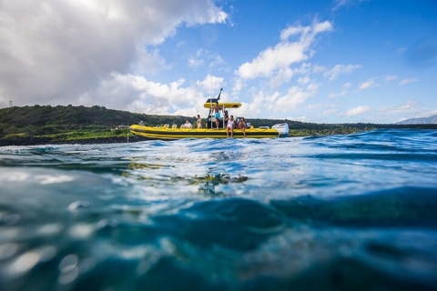 Oahu: recorrido por la vida marina de la costa norte desde Haleiwa