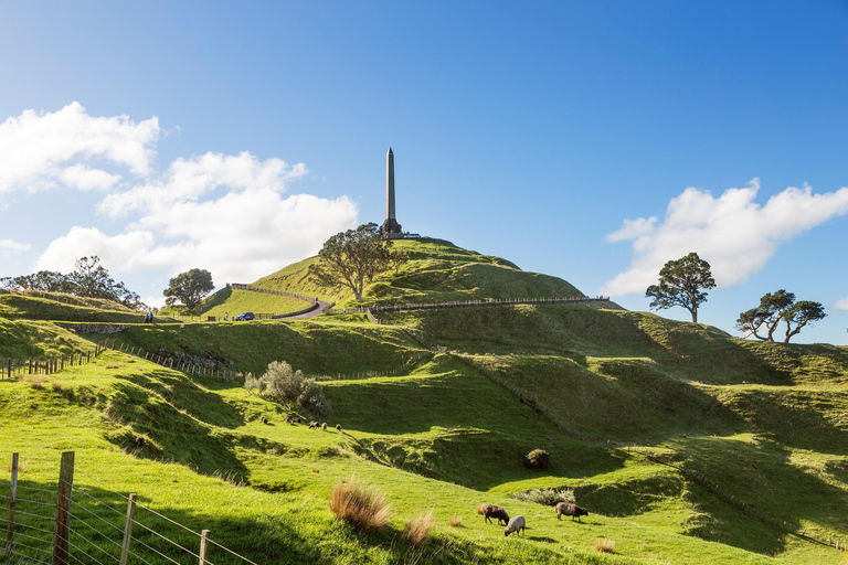 Auckland: Stadsrondleiding Hoogtepunten van de stad