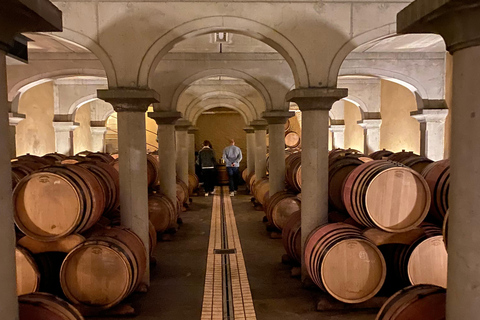 Châteauneuf-du-Pape: Full-day wine tour with sommelier