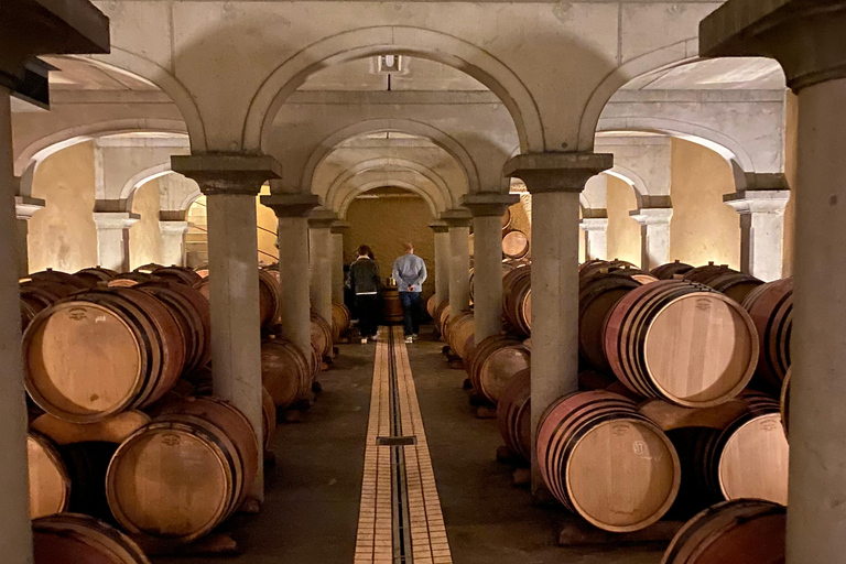 Châteauneuf-du-Pape: Full-day wine tour with sommelier