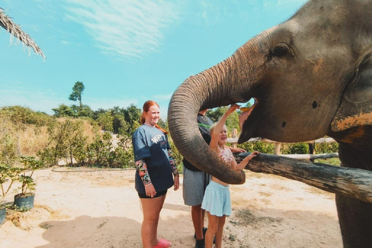 Visite du sanctuaire des éléphants et du temple de Banteay Srey au Cambodge