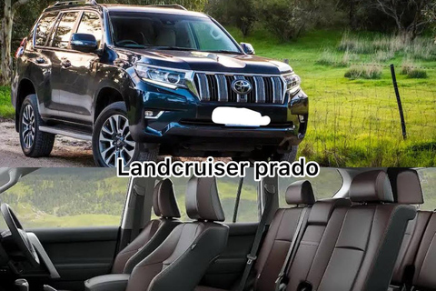 Tokyo: Snow Monkey Park & Nagano Highlights Private Trip Tokyo: Snow Monkeys Park Full-Day Private Customizable Trip