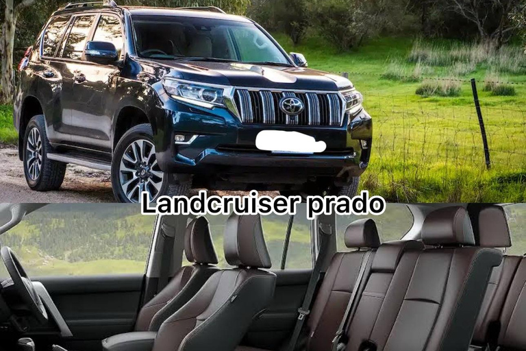 Tokyo: Snow Monkey Park & Nagano Highlights Private Trip Tokyo: Snow Monkeys Park Full-Day Private Customizable Trip