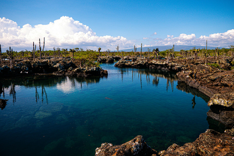 Galápagos Explorer: Santa Cruz & Isabela 6-Day Adventure