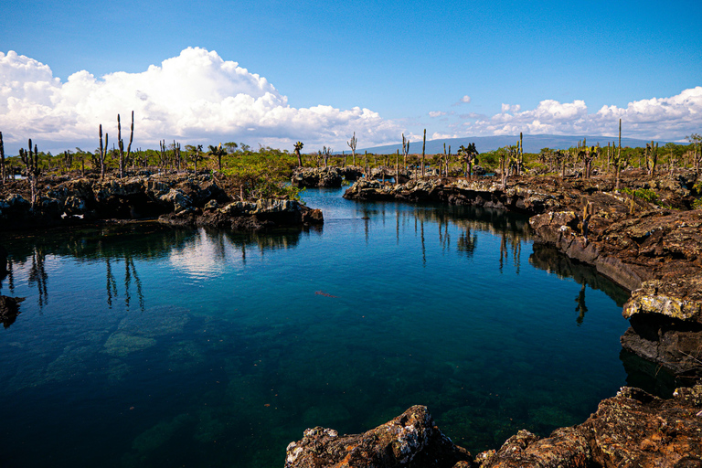 Galápagos Explorer: Santa Cruz & Isabela 6-Day Adventure
