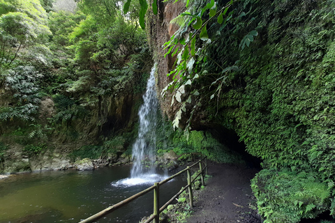 São Miguel: Moinho do Felix-Wanderung mit Besuch der Teefabrik