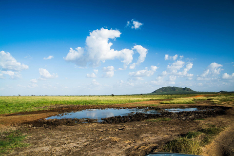Mombasa: Tsavo West Overnight Safari & Night Drive at Ziwani