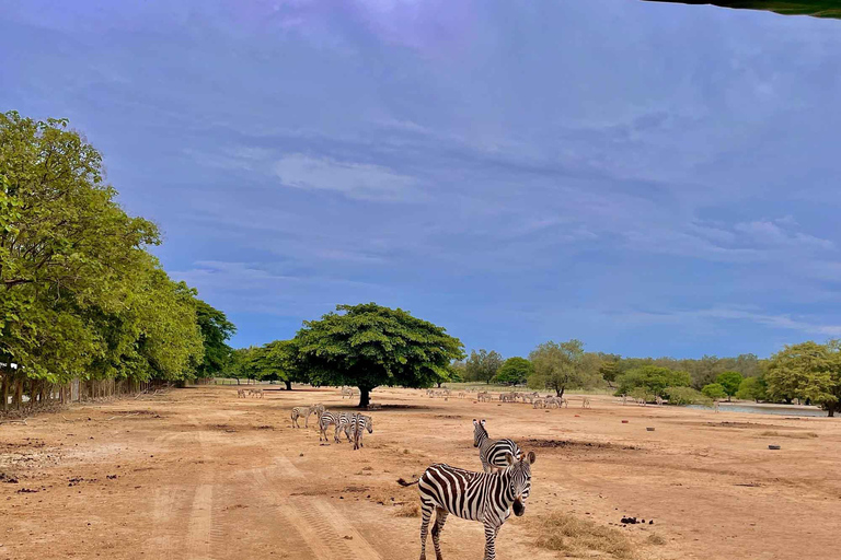 Wild Day: Animals & Adventure Safari from San Jose