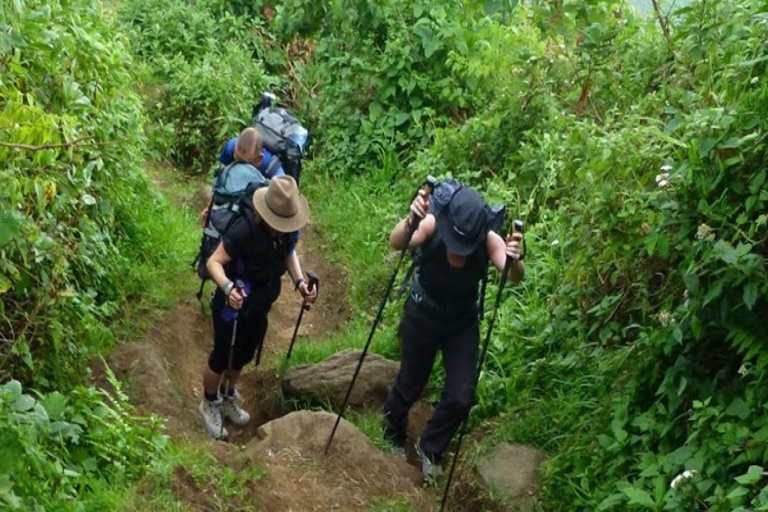 Aventura de senderismo de 6 días en el Monte Elgon