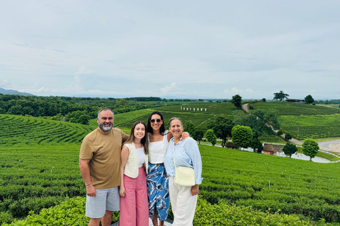 Chiang Rai: Top 7 Must-Visit Attractions – Private Tour