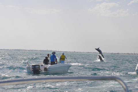 Djerba: Half-Day Boat Trip, Dolphin Watching, Swimming, and Lunch