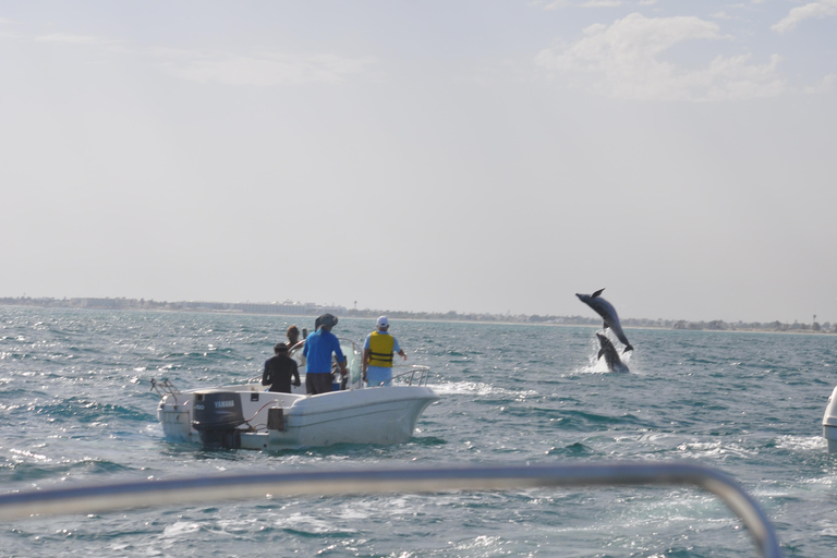 Djerba: Half-Day Boat Trip, Dolphin Watching, Swimming, and Lunch