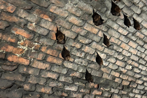 From Taipei: Private Sandiaoling & Makang Day Trip