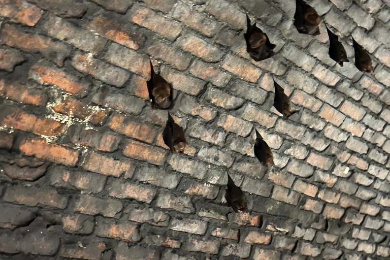 From Taipei: Private Sandiaoling & Makang Day Trip