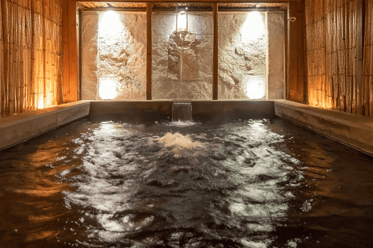 From Tokyo & Nagano: Snow Monkey Private Customizable Tour