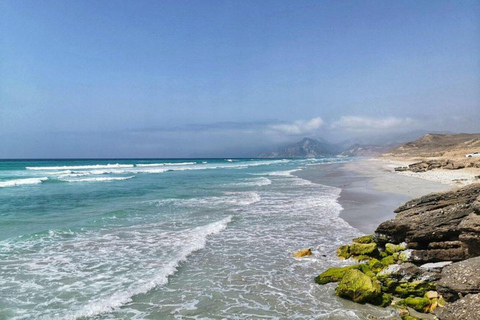 Salalah | Fazayah Beach, Mughsail Beach och Frankincense-träd