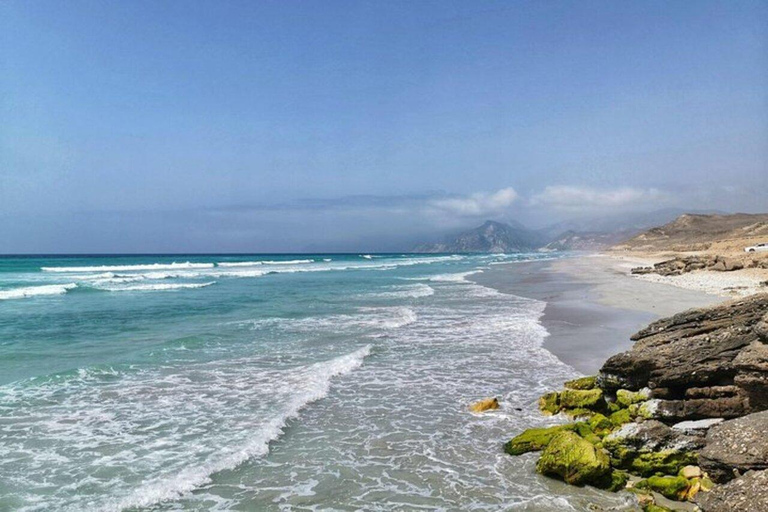 Salalah | Playa de Fazayah, Playa de Mughsail y Árboles del Incienso