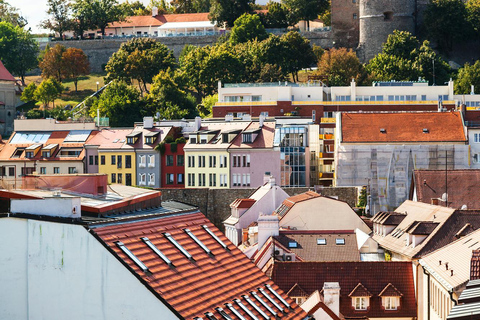 Bratislava: Passeio expresso com um morador local em 60 minutosBratislava: caminhada expressa com um local em 60 minutos