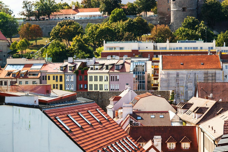 Bratislava: Paseo exprés con un lugareño en 60 minutos