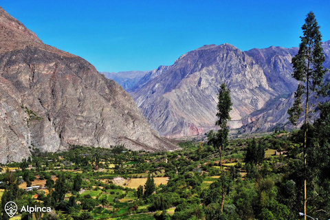 Cotahuasi: tour di 2 giorni nel canyon con sorgenti termali e cascata