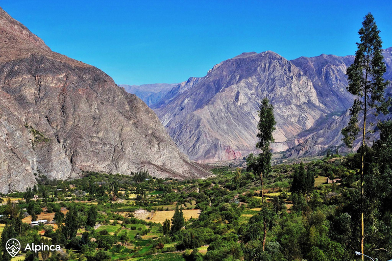 Cotahuasi: tour di 2 giorni nel canyon con sorgenti termali e cascata