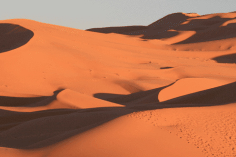 From Marrakech: 3-Day Merzouga Tour with Camel Trek & Luxury Camp Shared Standard Sahara Tour – Popular Choice