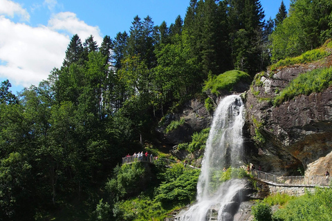 Oslo : Visite en bus et en train à Bergen via Hardangervidda/Fjord