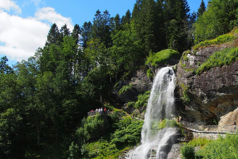 Tåg- och bussresa till Oslo: Tåg- och busstur till Bergen via Hardangervidda/Fjorden