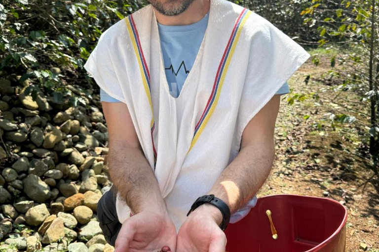 Medellín : Tournée des cafés dans les montagnes