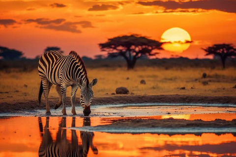 Nairobi National Park Evening Game Drive & sundowner Nairobi National Park Evening Game Drive & sundowner - VAN