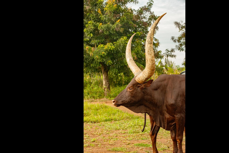 From Kigali: Bugesera Farm Stay with Guided Tour