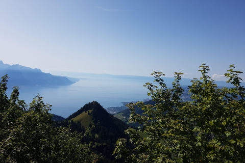 Montreux naar Rochers-de-Naye: Kaartje AlpenavontuurTreinkaartje tandrad Montreux - Rochers-de-Naye