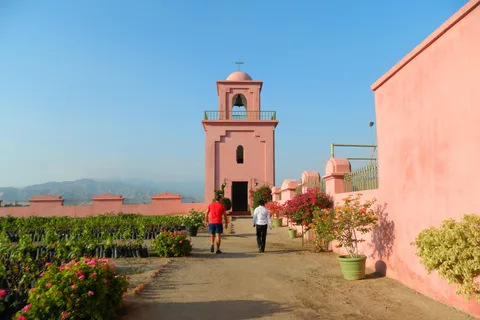 Ica : Excursion à la découverte du pisco et du vin