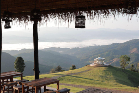 Chiang Mai: Chiang Rai Temples & Akha FarmVille Day Trip