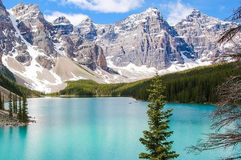 Banff Lake Louise& Moraine Lake Half Day Premium Guided Tour