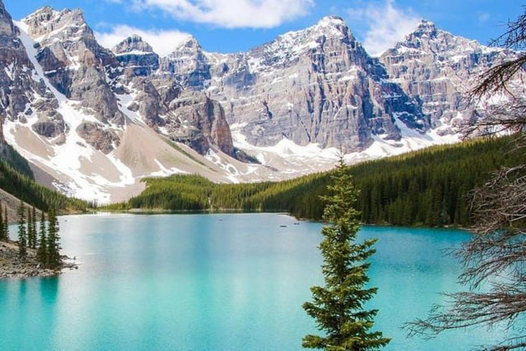 Banff Lake Louise& Moraine Lake Half Day Premium Guided Tour