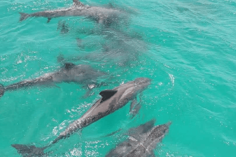 Tobago: Coastal Boat Tour with Snorkeling and Rum Punch