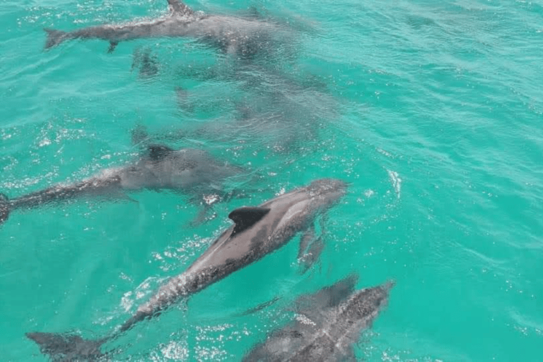 Tobago: Coastal Boat Tour with Snorkeling and Rum Punch