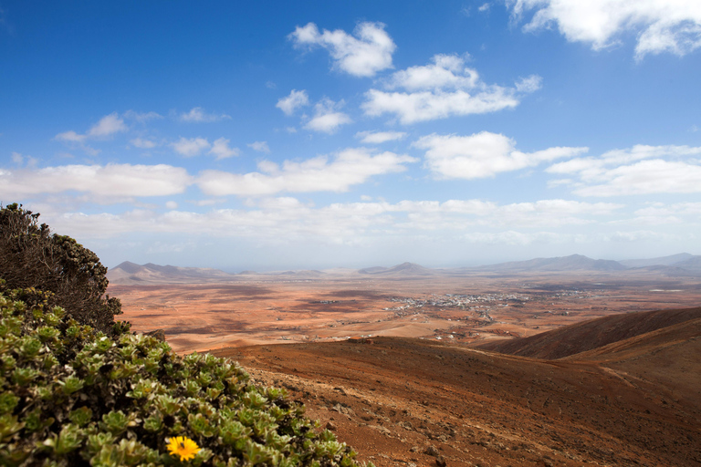 Discover The Authentic Fuerteventura from the South