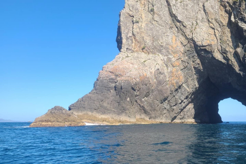 Paihia: Glass Bottom Boat Tour to the Hole in the Rock