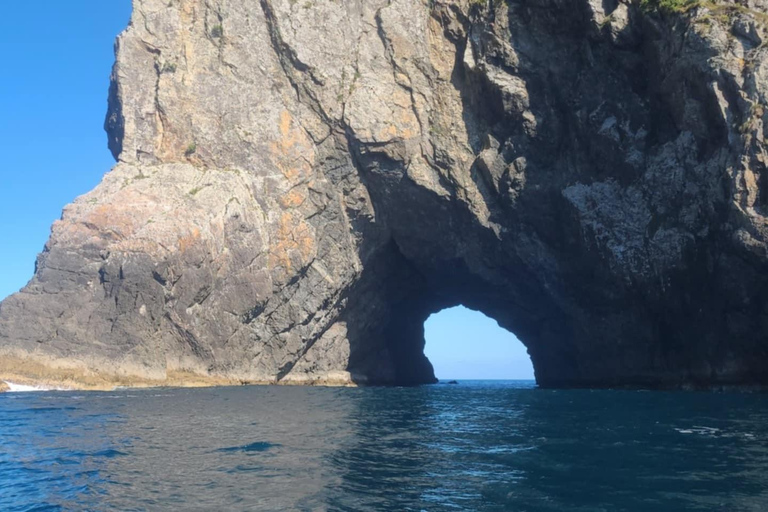 Paihia: Glass Bottom Boat Tour to the Hole in the Rock