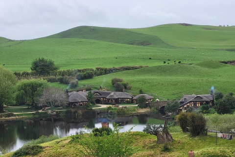 Auckland: Hobbiton& Waitomo private Tour with Hotel Pickup
