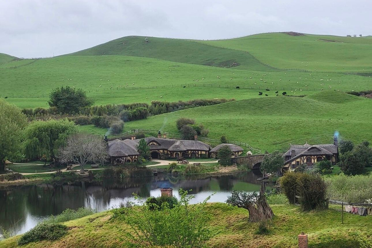 Auckland: Hobbiton& Waitomo private Tour with Hotel Pickup