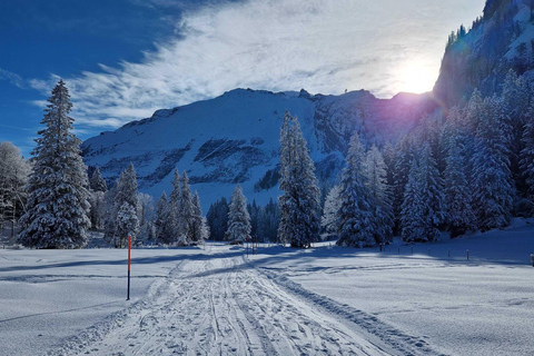 Lucerne: Private Snowshoe Tour