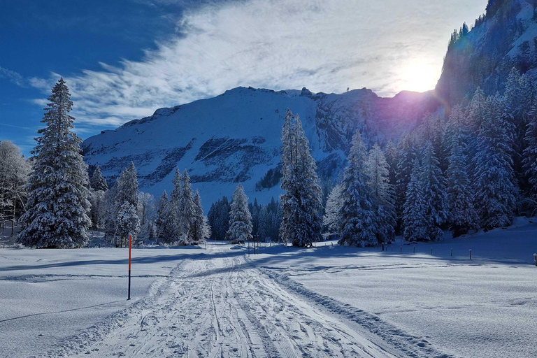 Lucerne: Private Snowshoe Tour