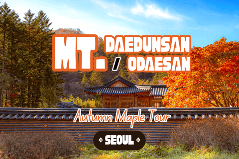 Seoul: tour di un giorno per ammirare i colori autunnali del parco Odaesan o DaedunsanTour condiviso per ammirare il foliage a Odaesan, ritrovo alla stazione Hongik Uni.