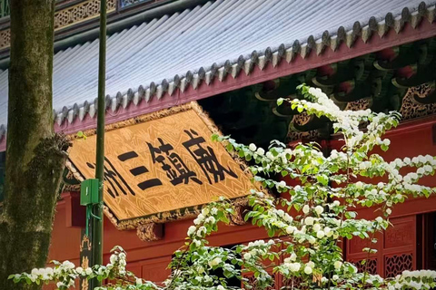 Hangzhou: Lingyin Temple & Feilai Peak Entry