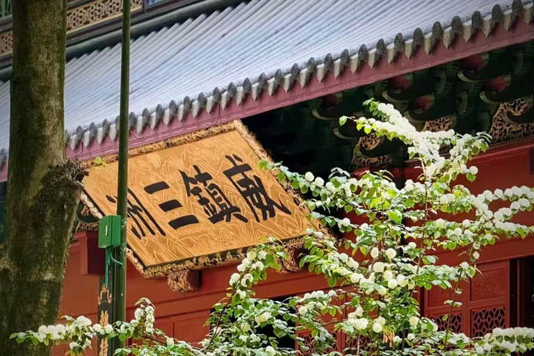 Hangzhou: Lingyin Temple & Feilai Peak Entry