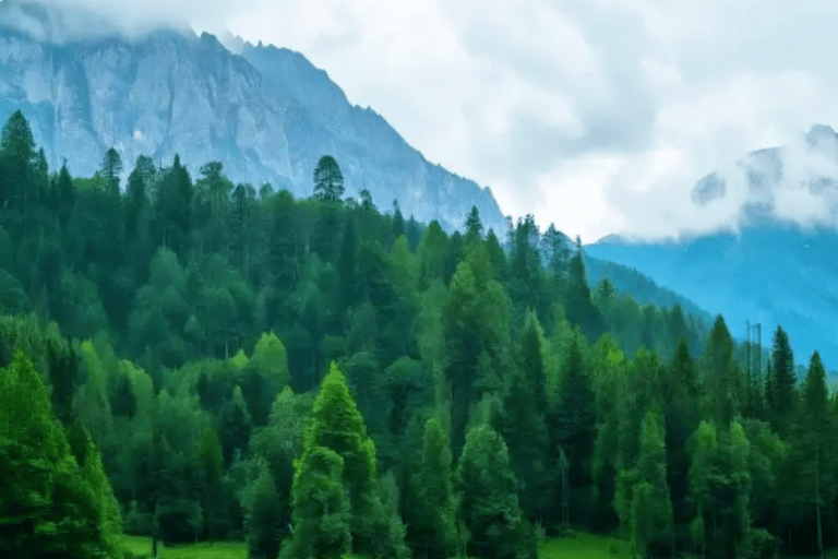 Sichuan: Mount Qingcheng Ticket, PDF & Concierge