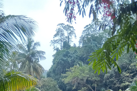 The Best Kandy Tuk-Tuk city Tour with a Professional Guide